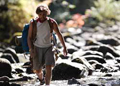 Into the Wild